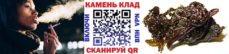 Гашиш гашик  Купить закладки  Заволжье 