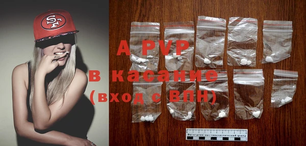 стафф Касимов