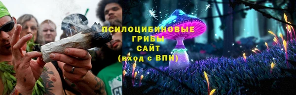 экстази Карпинск