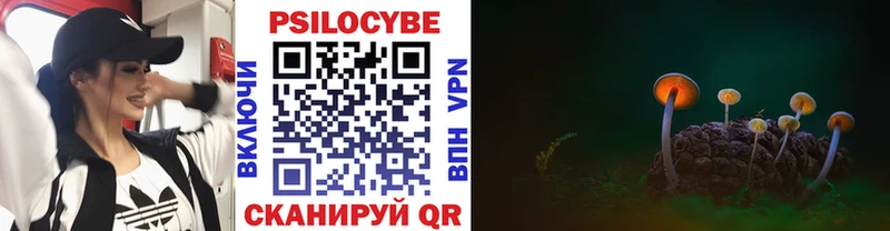 Купить закладки  Заволжье  Галлюциногенные грибы прущие грибы 